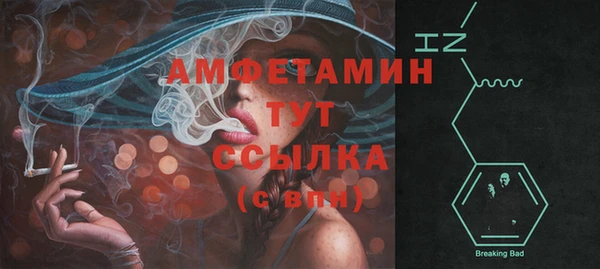дурь Няндома
