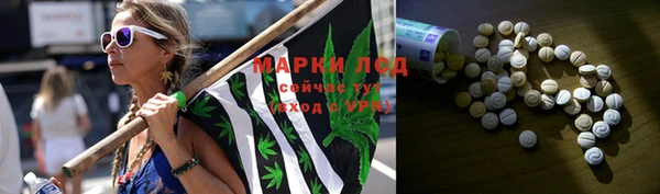 дурь Няндома