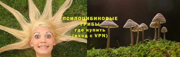 Альфа ПВП Белокуриха