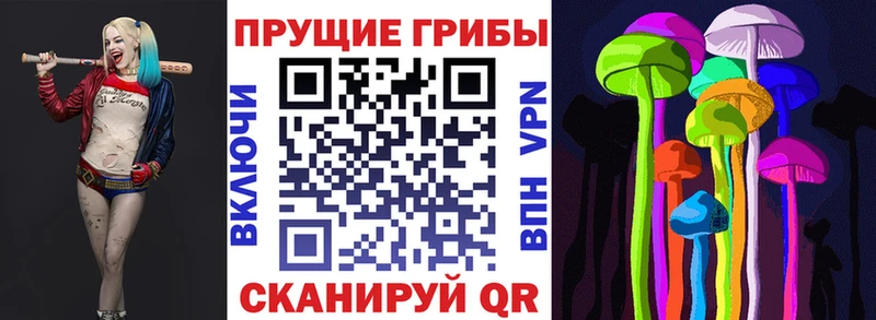 Галлюциногенные грибы Psilocybe  Глазов 